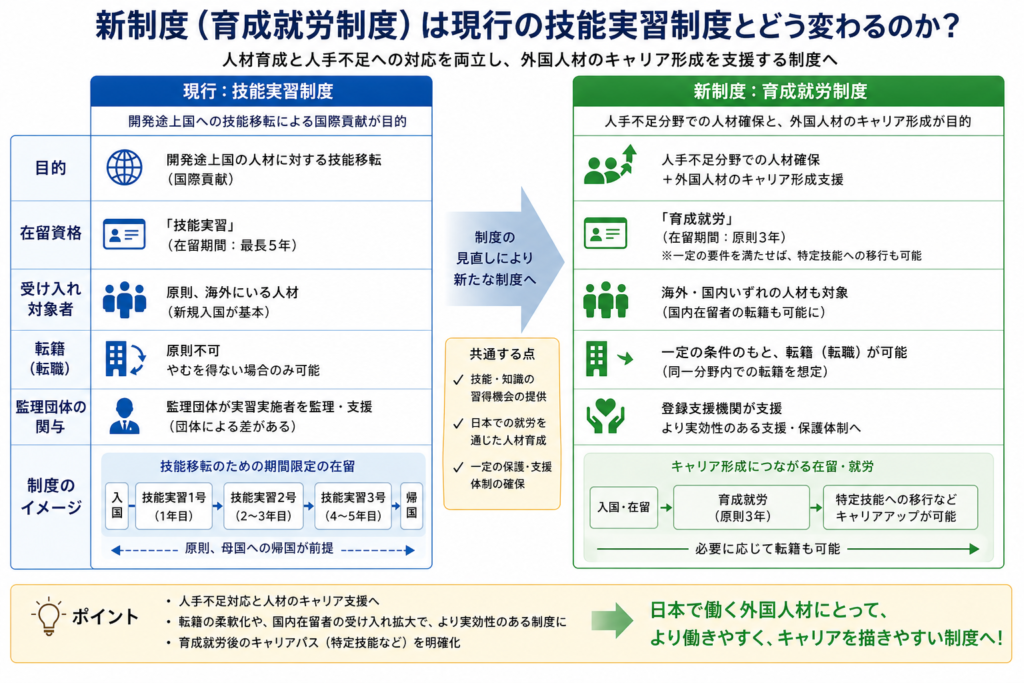 技能実習制度はどう変わる？新制度「育成就労制度」のポイントをわかりやすく解説